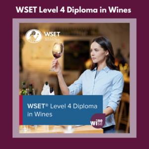 WSET Diploma in Wines 